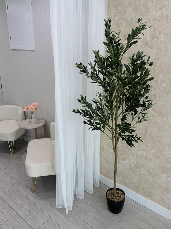 Bliss Pilates Stüdyo - 3. Fotoğraf