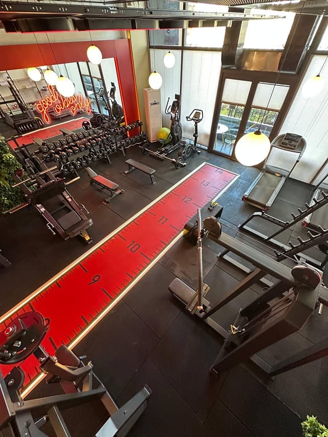 Elfit Women Gym