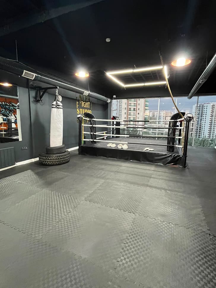 Alfa Fight Studio
