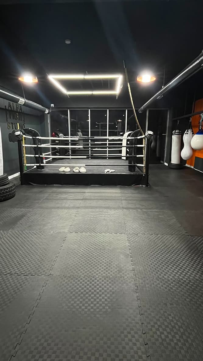 Alfa Fight Studio