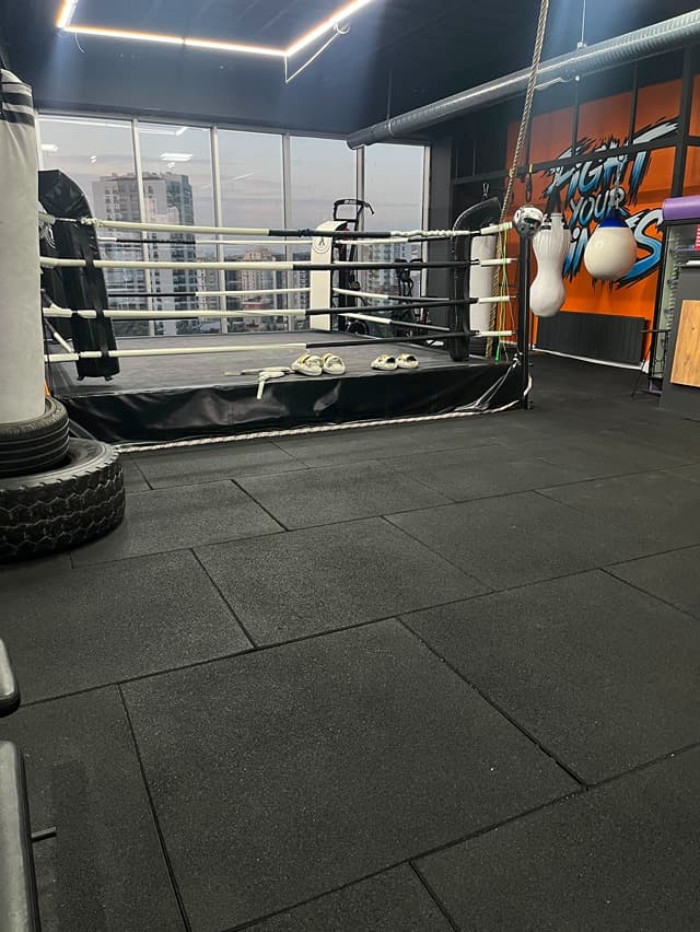 Alfa Fight Studio