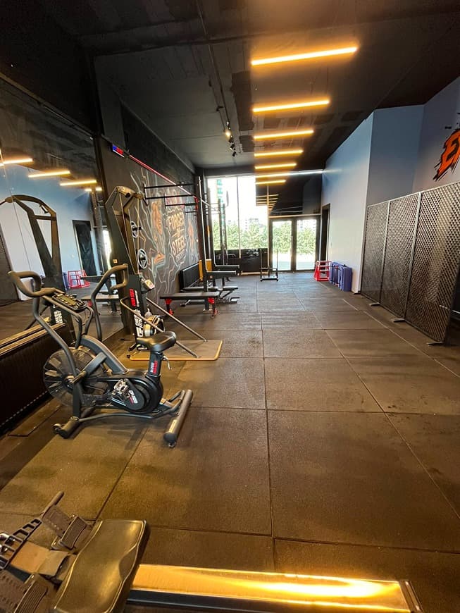 Alfa Fight Studio
