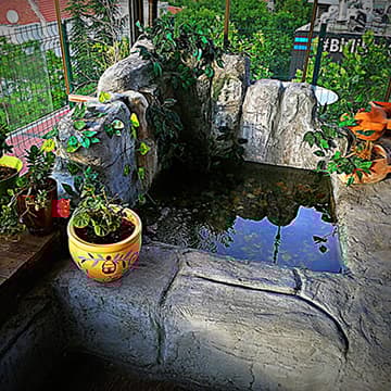 Salsa Ankara Dans Pilates