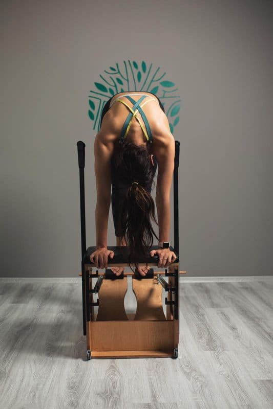 Jungle Pilates Training Studio