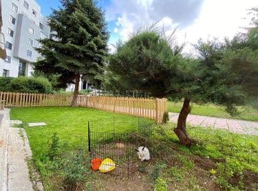 Force Crossbox - Pilates