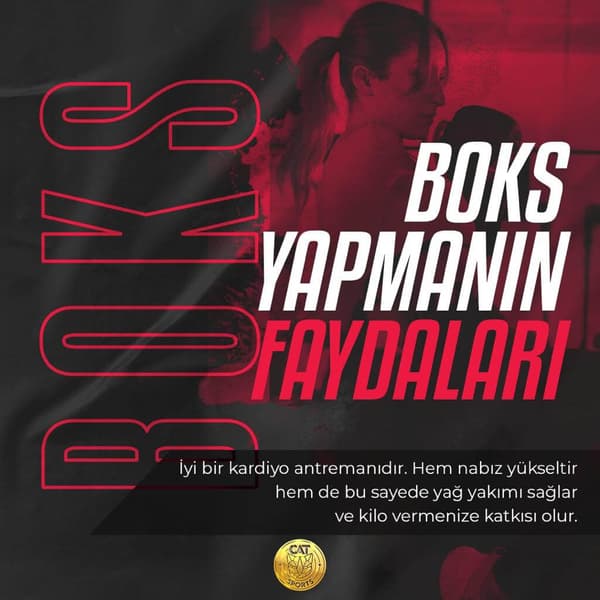 Cat Sports - 10. Fotoğraf