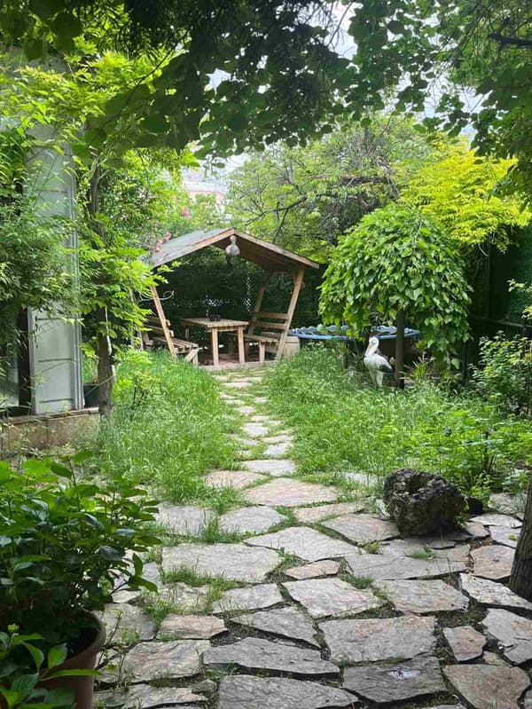 Mead Boutique Sports  - 13. Fotoğraf Mead Boutique Sports  - 13. Fotoğraf