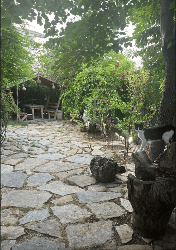 Mead Boutique Sports  - 2. Fotoğraf Mead Boutique Sports  - 2. Fotoğraf