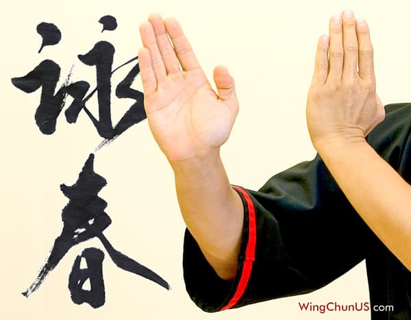 Wox Academy - 116. Fotoğraf Wox Academy - 116. Fotoğraf