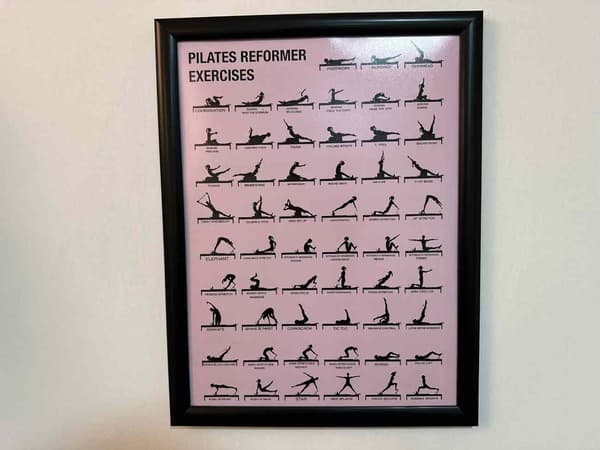 Cat GYM - 9. Fotoğraf
