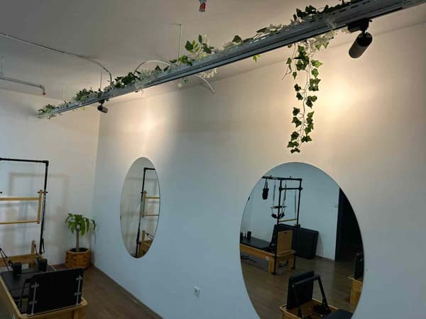 Cat GYM - 26. Fotoğraf