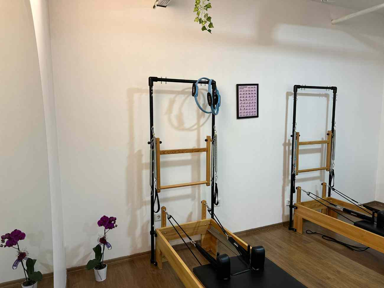 Cat GYM - Elvankent Pilates - 4. Fotoğraf