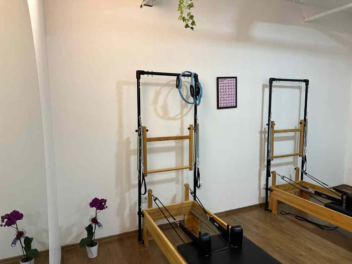 Cat GYM - 4. Fotoğraf