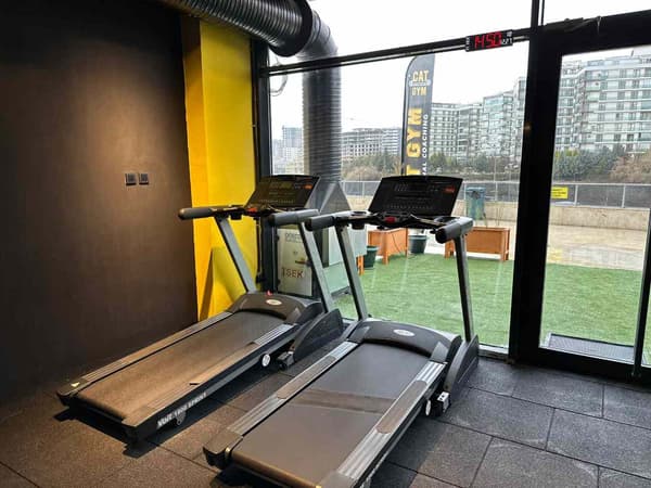Cat GYM - 8. Fotoğraf