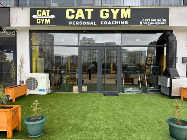 Cat GYM - 17. Fotoğraf