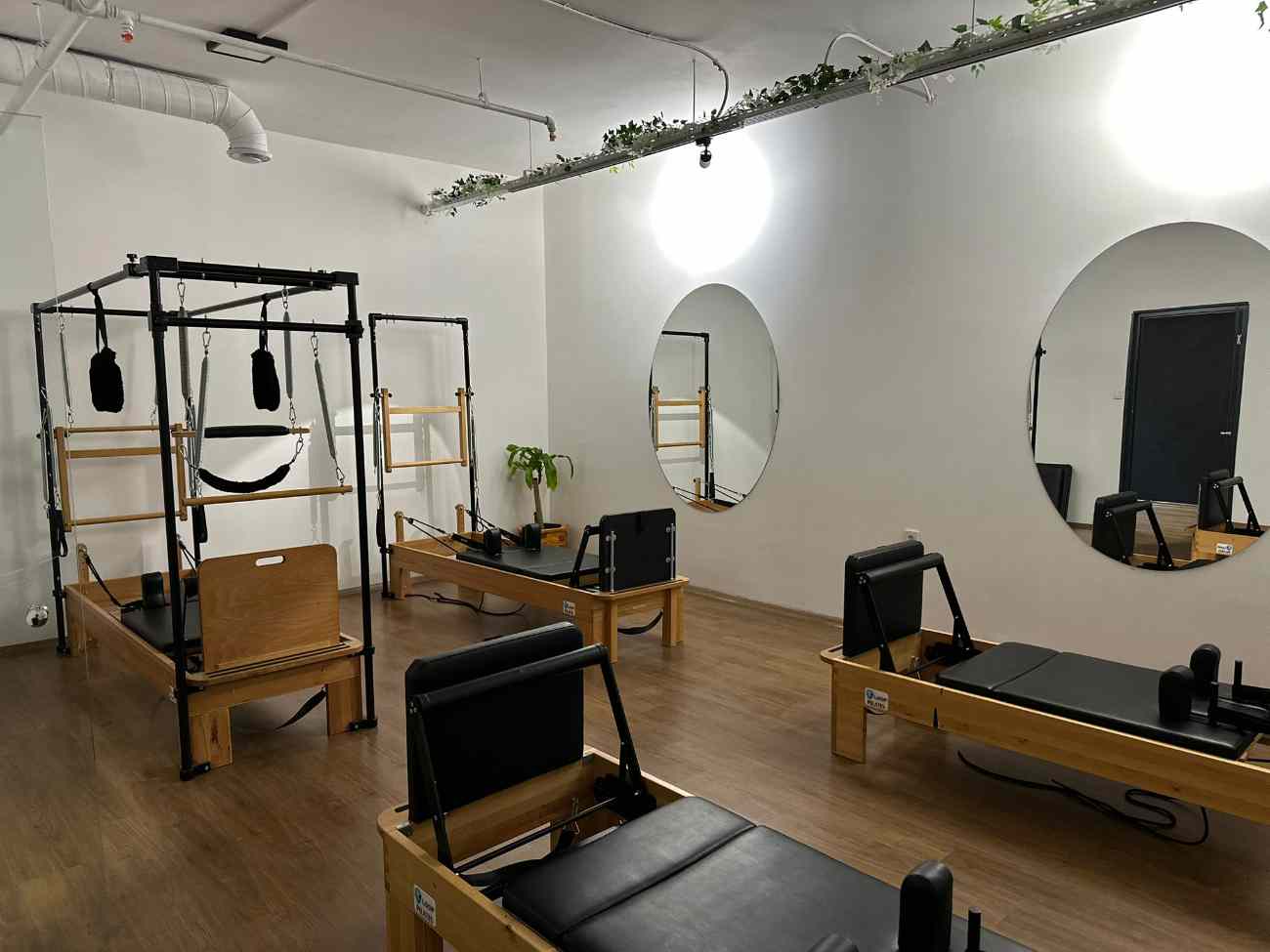 Cat GYM - Elvankent Pilates - 2. Fotoğraf