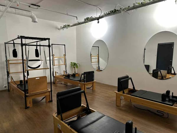 Cat GYM - 2. Fotoğraf