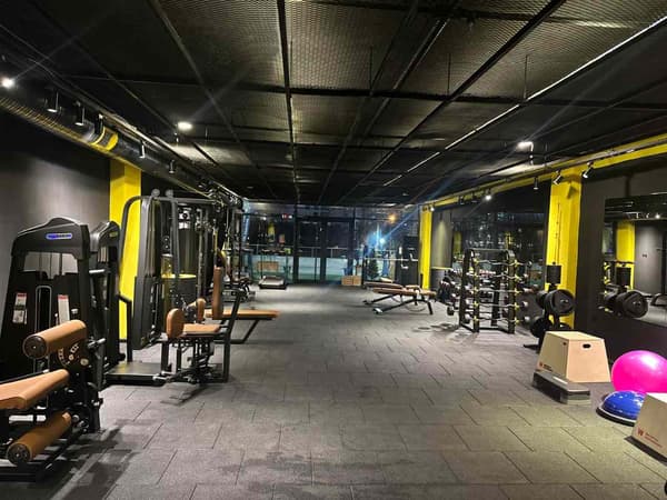 Cat GYM - 24. Fotoğraf