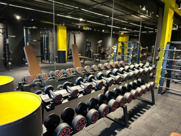 Cat GYM - 18. Fotoğraf