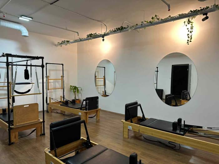 Cat GYM - 3. Fotoğraf