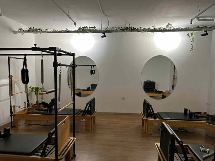 Cat GYM - 5. Fotoğraf
