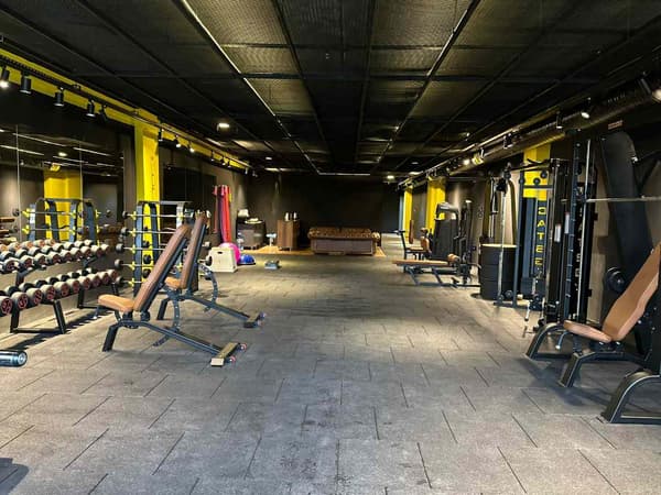 Cat GYM - 25. Fotoğraf
