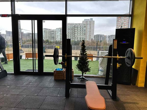 Cat GYM - 23. Fotoğraf
