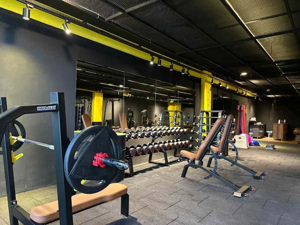 Cat GYM - 10. Fotoğraf
