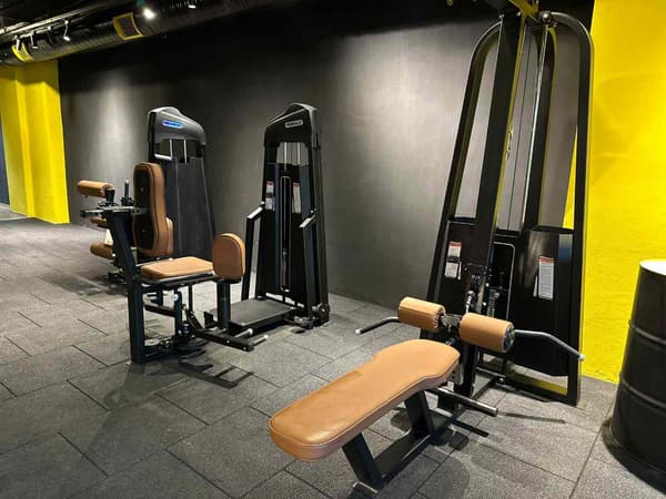 Cat GYM - 19. Fotoğraf