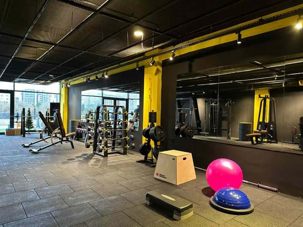 Cat GYM - 22. Fotoğraf