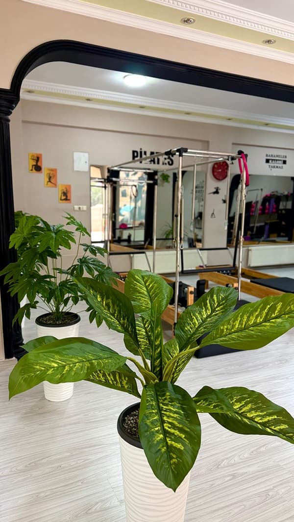 Çağlar Pilates - 7. Fotoğraf
