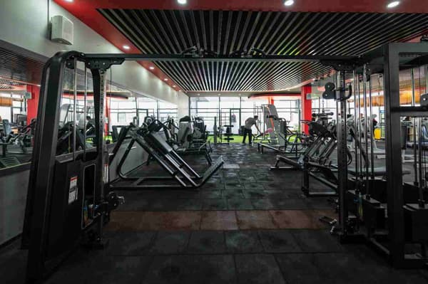 Neolife Gym - Yeni Batı - 13. Fotoğraf