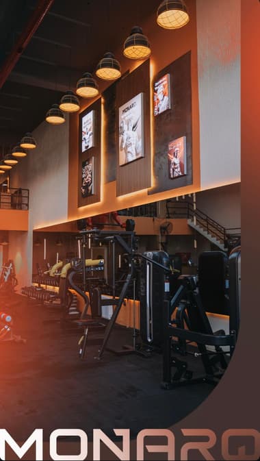 MonarQ Pt Studio MonarQ Pt Studio