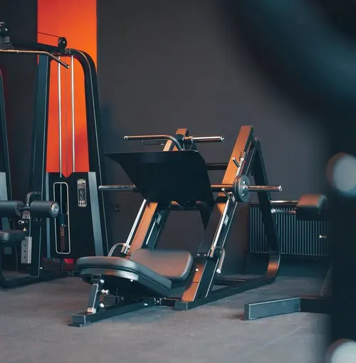 Gym Skull - 3. Fotoğraf Gym Skull - 3. Fotoğraf